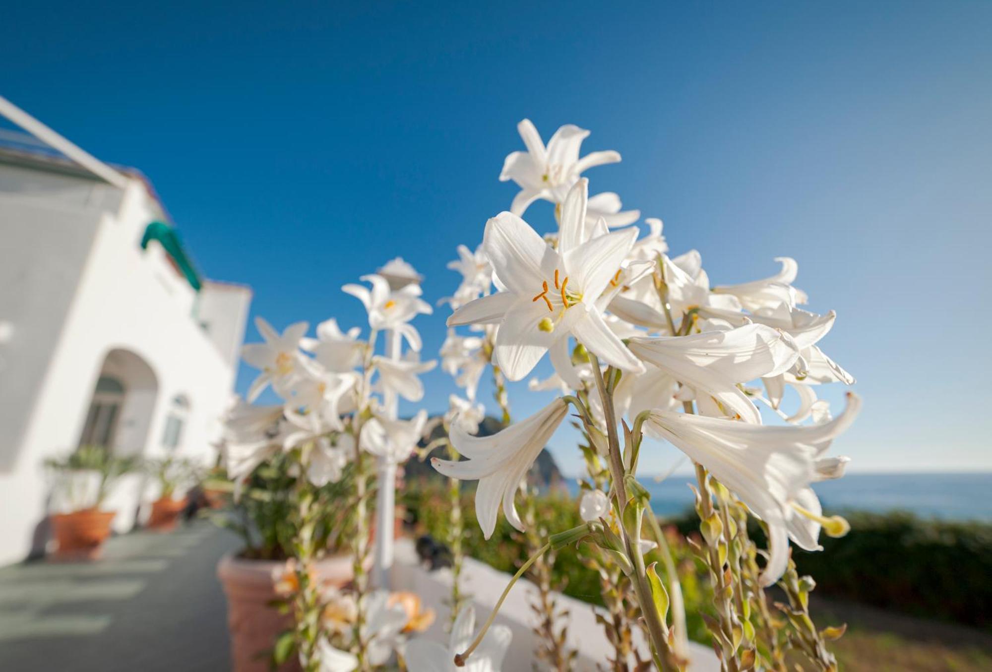 Hotel Casa del Sole Forio di Ischia Esterno foto
